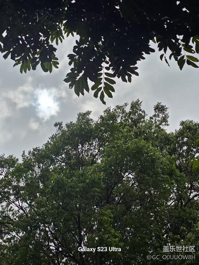 【活動回顧】筆架山公園