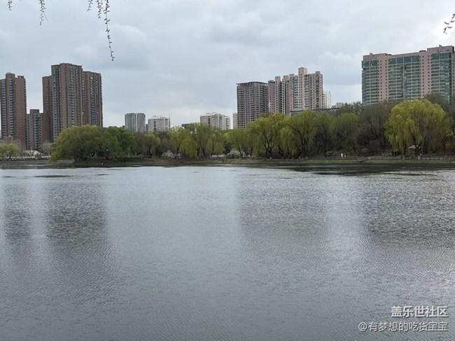 青年公園游覽及拍攝活動(dòng)回顧貼