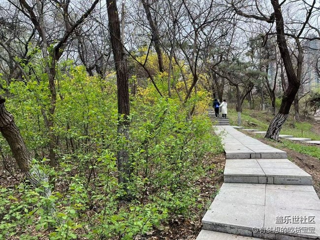 青年公園游覽及拍攝活動(dòng)回顧貼