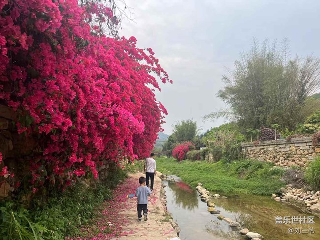 【春天的故事】鄉(xiāng)野春日，邂逅美好