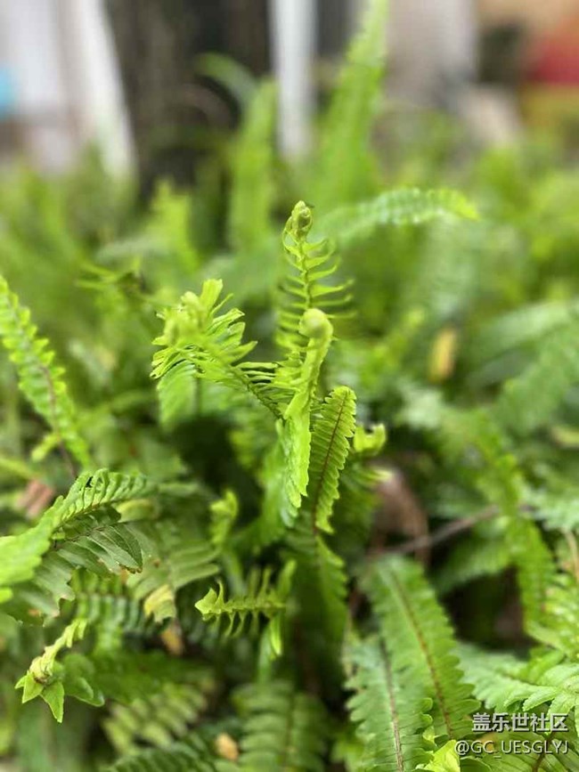 【春天的故事】邂逅木和，尋味春日美好