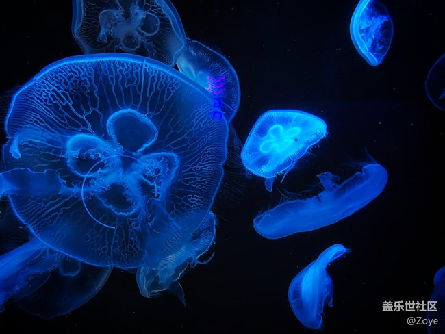 廈門星部落海洋王國線下攝影活動