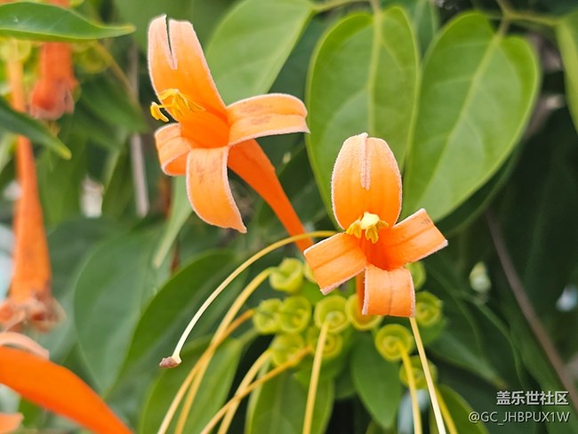 【花花世界】春日賞花