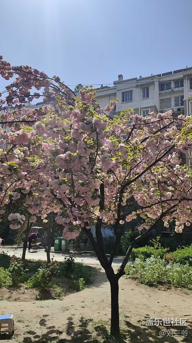 【城市蘇醒】城中尋春，邂逅美好