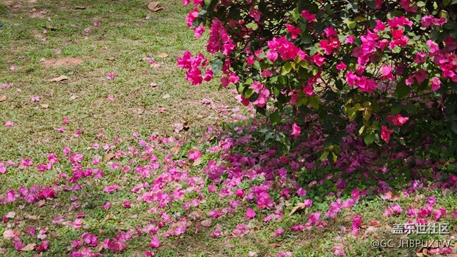 【Galaxy影像】#踏青+春天來踏青