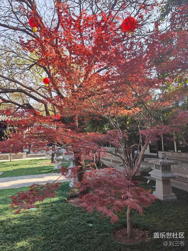 【城市蘇醒】城中尋春，邂逅美好