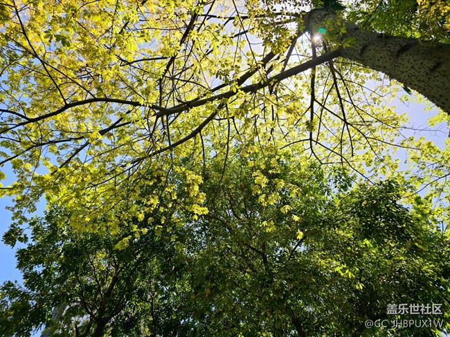 【Galaxy影像】#踏青+春天來踏青