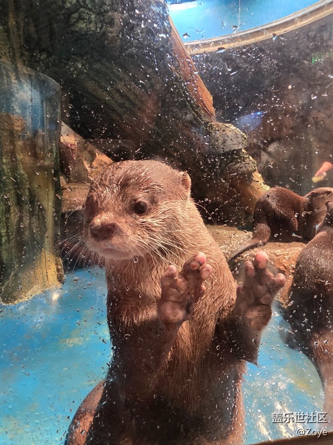 廈門星部落海洋王國線下攝影活動