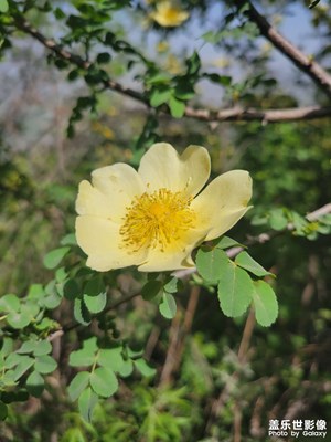 【慢想時(shí)光】+美好生活