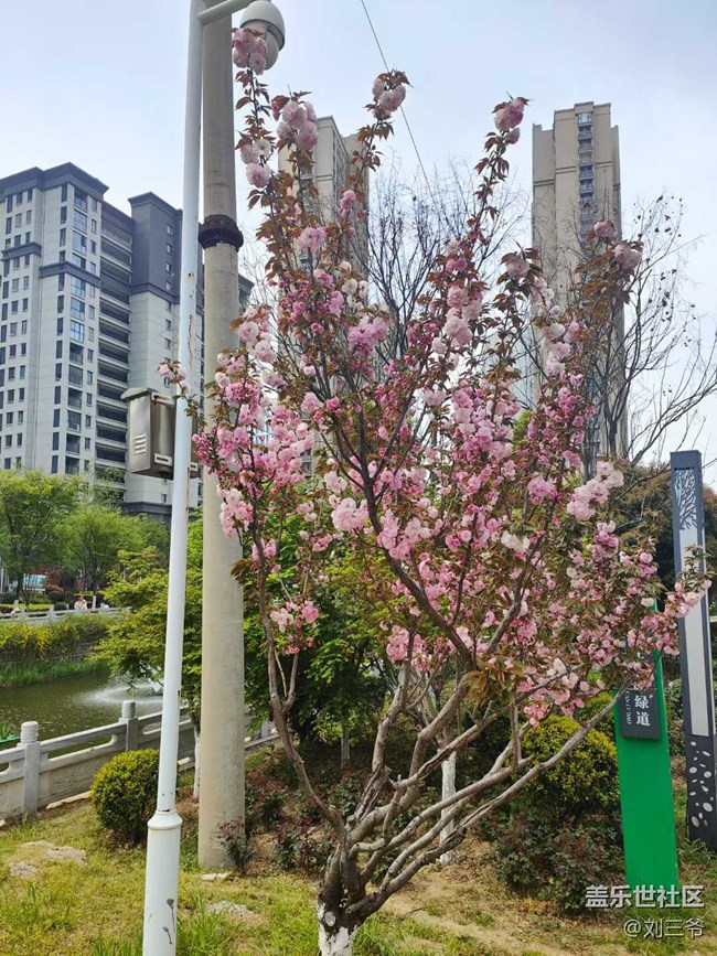 【城市蘇醒】城中尋春，邂逅美好