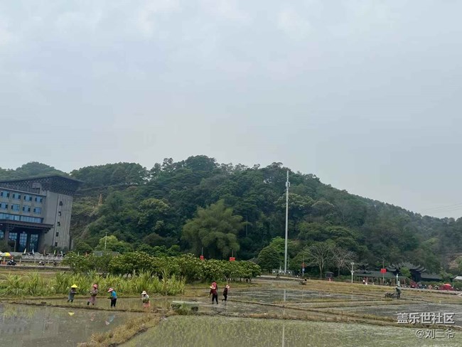 【春天的故事】鄉(xiāng)野春日，邂逅美好