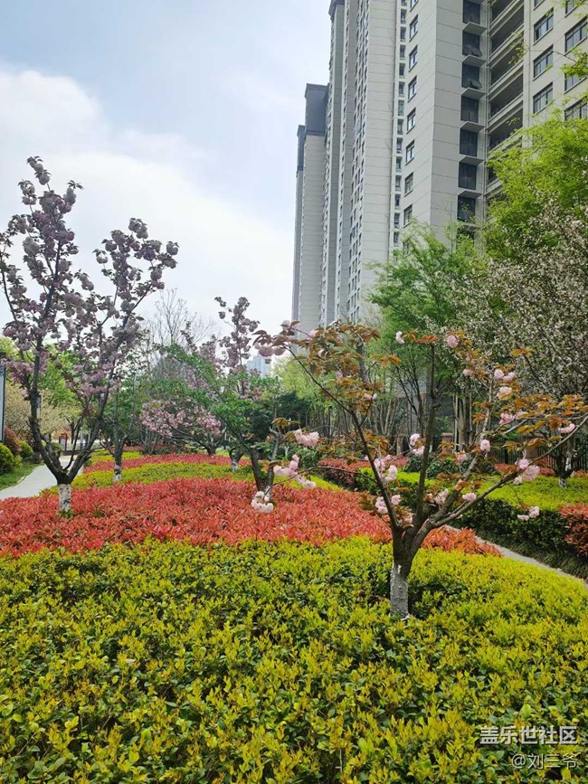 【城市蘇醒】城中尋春，邂逅美好