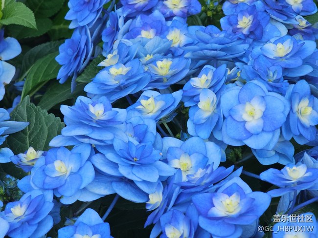 【花花世界】春日賞花