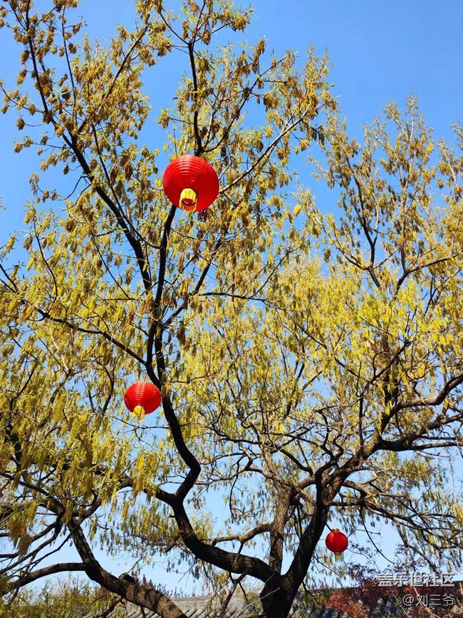 【城市蘇醒】城中尋春，邂逅美好
