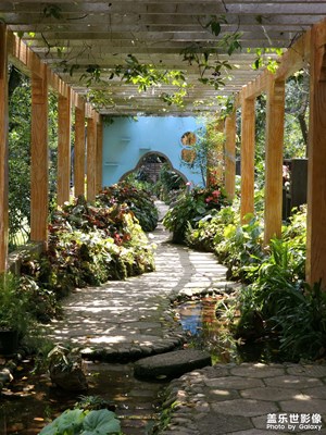 【慢想時光】庭院深深深幾許