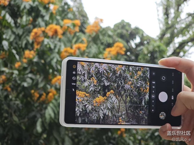 【活動(dòng)回顧】深圳星部落0413線下攝影活動(dòng)回顧貼