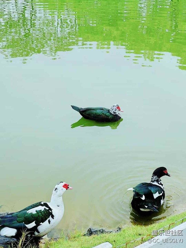 【春天的故事】邂逅木和，尋味春日美好