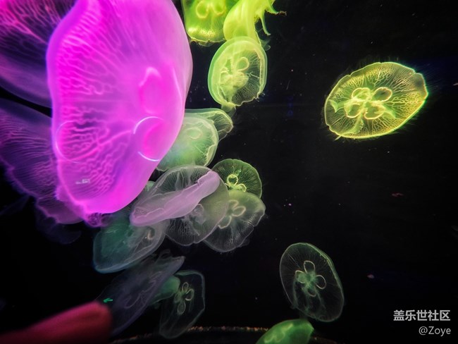 廈門星部落海洋王國線下攝影活動