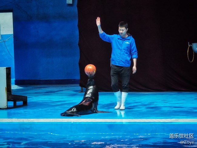 廈門星部落海洋王國線下攝影活動