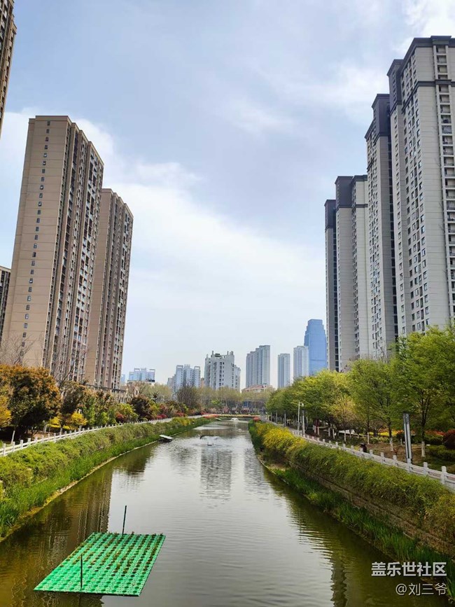 【城市蘇醒】城中尋春，邂逅美好