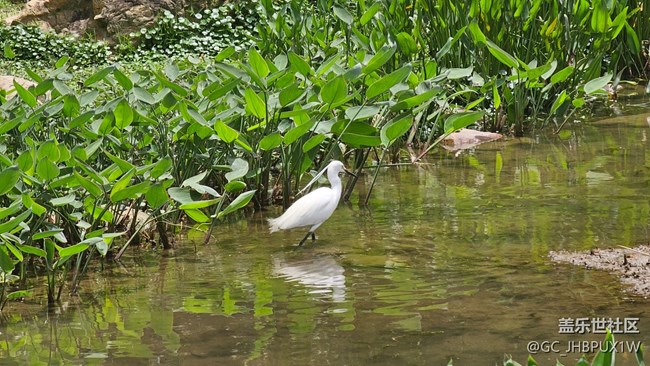 【Galaxy影像】#踏青+春天來踏青