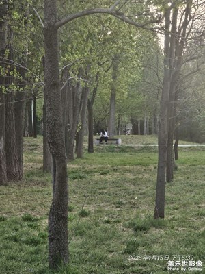 【慢想時光】+公園隨拍