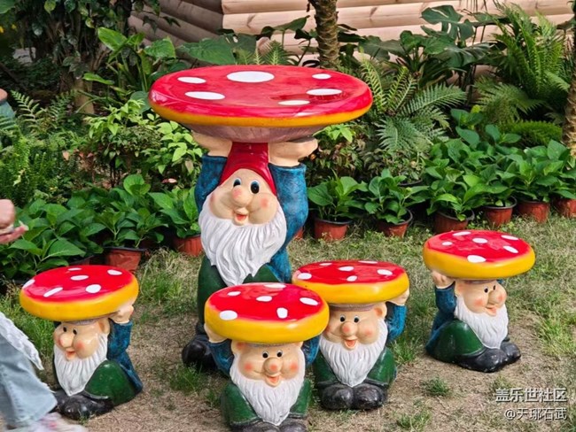 【Galaxy影像】#踏青+游玩