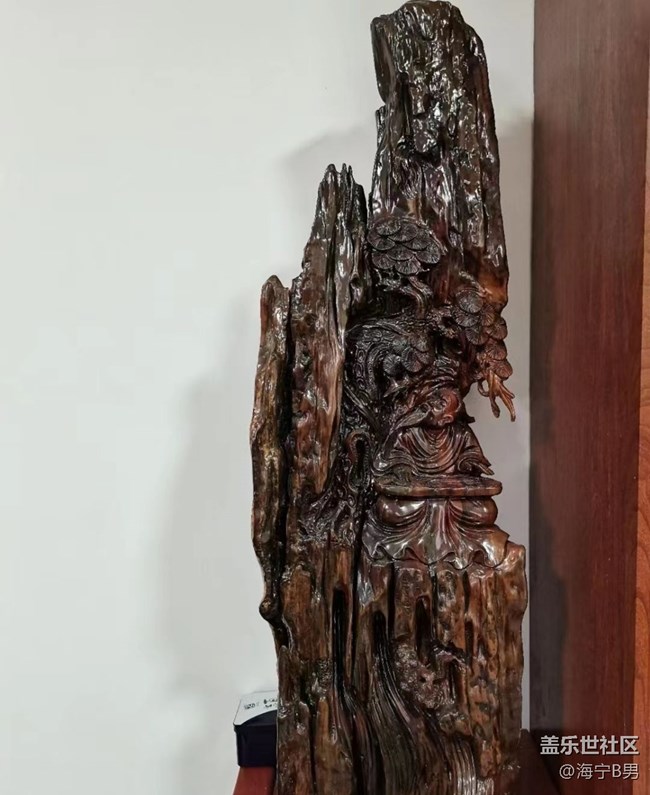 【Galaxy影像】#踏青+盆景