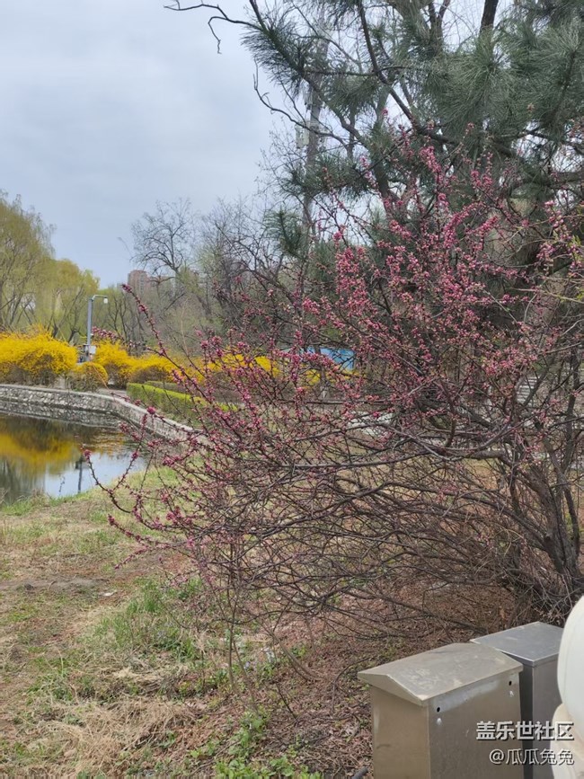 青年公園攝影星部落回顧貼