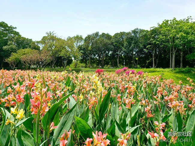 【Galaxy影像】#踏青+戶(hù)外游