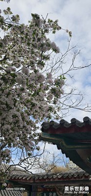 【拍有創(chuàng)意】+公園花海