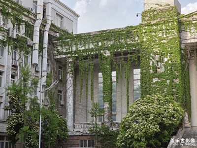 【拍有創(chuàng)意】春日街景