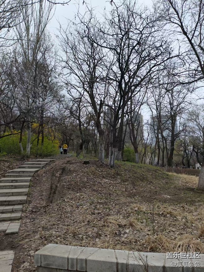 青年公園攝影星部落回顧貼