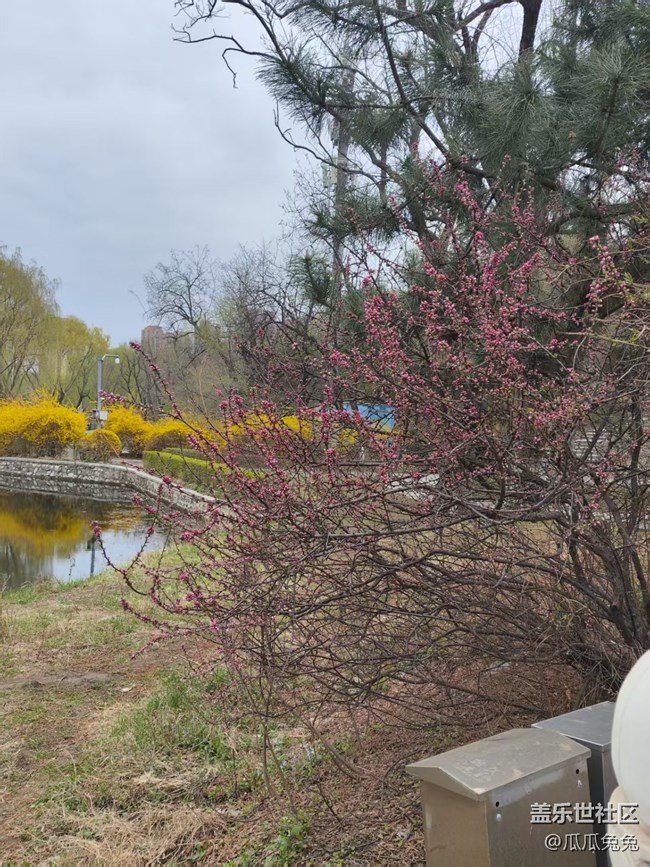 青年公園攝影星部落回顧貼