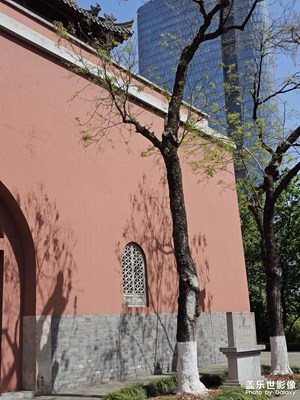 【拍有創(chuàng)意】+公園周末