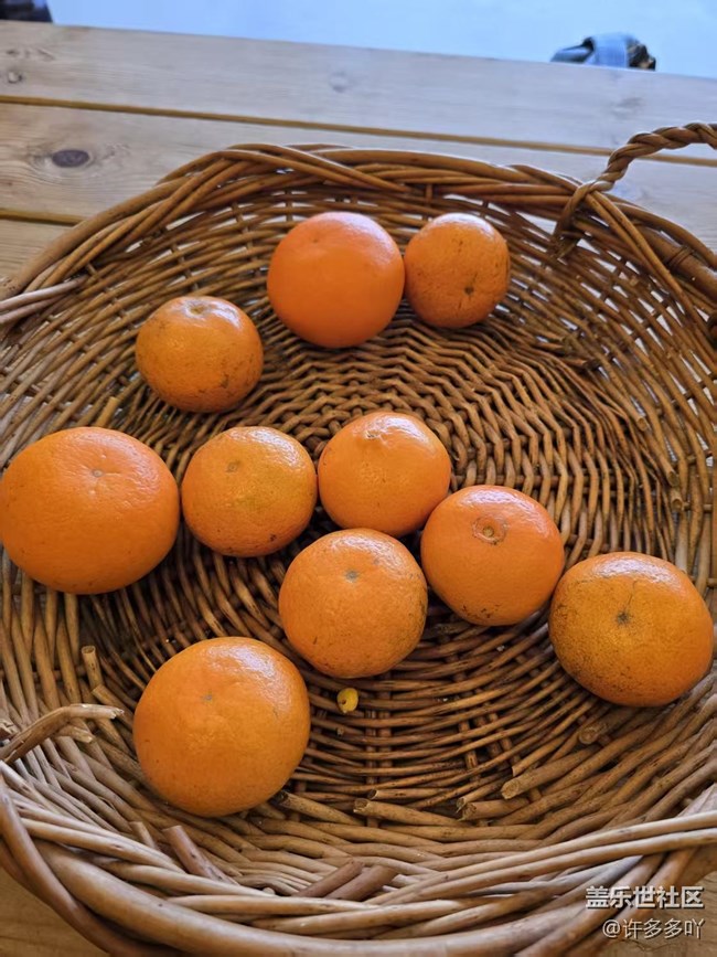 落日海灘線下攝影活動(dòng)