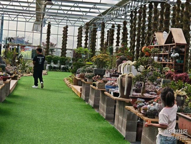 【Galaxy影像】#踏青+游玩