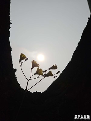 【拍有創(chuàng)意】+看見