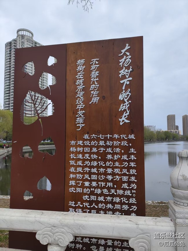 青年公園攝影星部落回顧貼