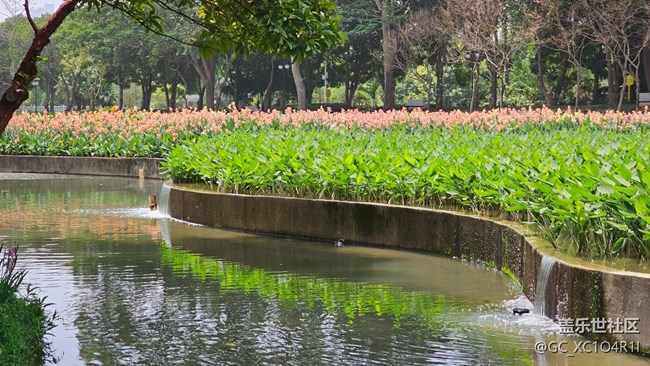 【Galaxy影像】#踏青+戶(hù)外游