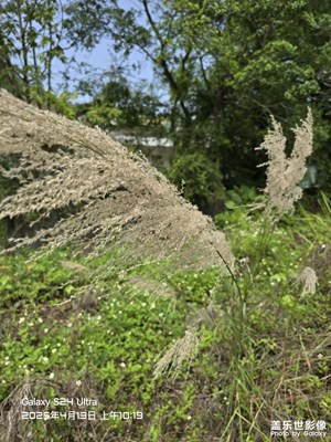 【拍有創(chuàng)意】春天的杰作