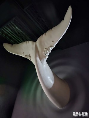 【拍有創(chuàng)意】+時間的紋路