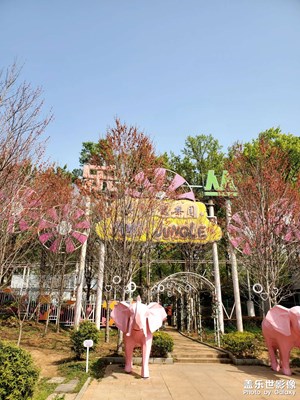 【拍有創(chuàng)意】+公園隨拍