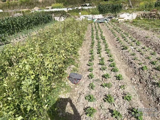 【Galaxy影像】#踏青+干農(nóng)活