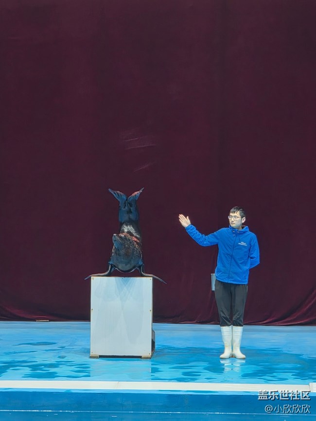 海洋王國線下攝影活動