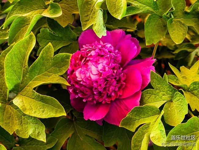 【兩億看神都】鄭州星部落線下活動(dòng)回顧