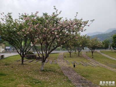 【拍有創(chuàng)意】公園隨拍