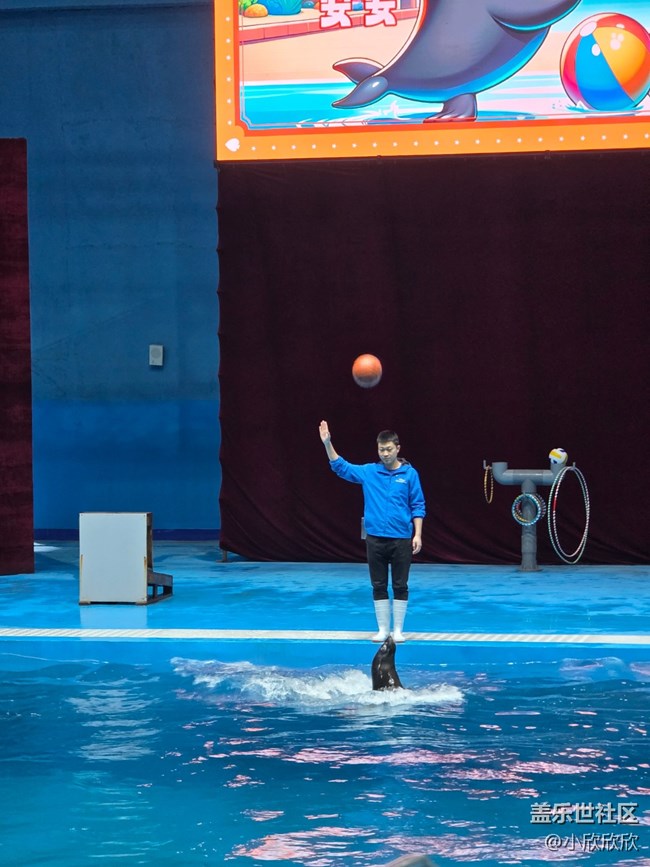 海洋王國線下攝影活動