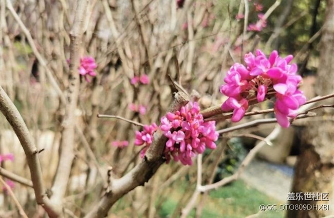 【春日盛景】美好周末