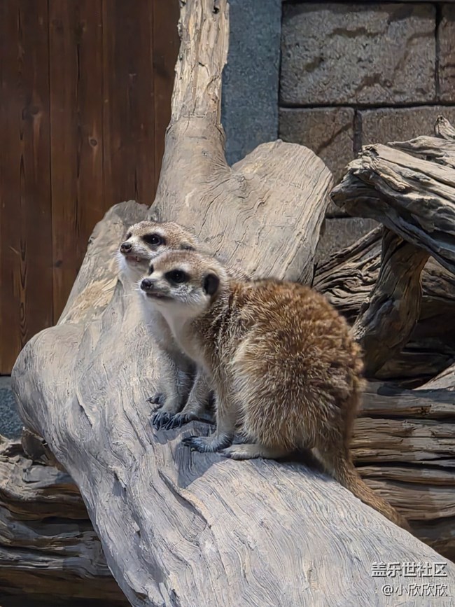 海洋王國線下攝影活動